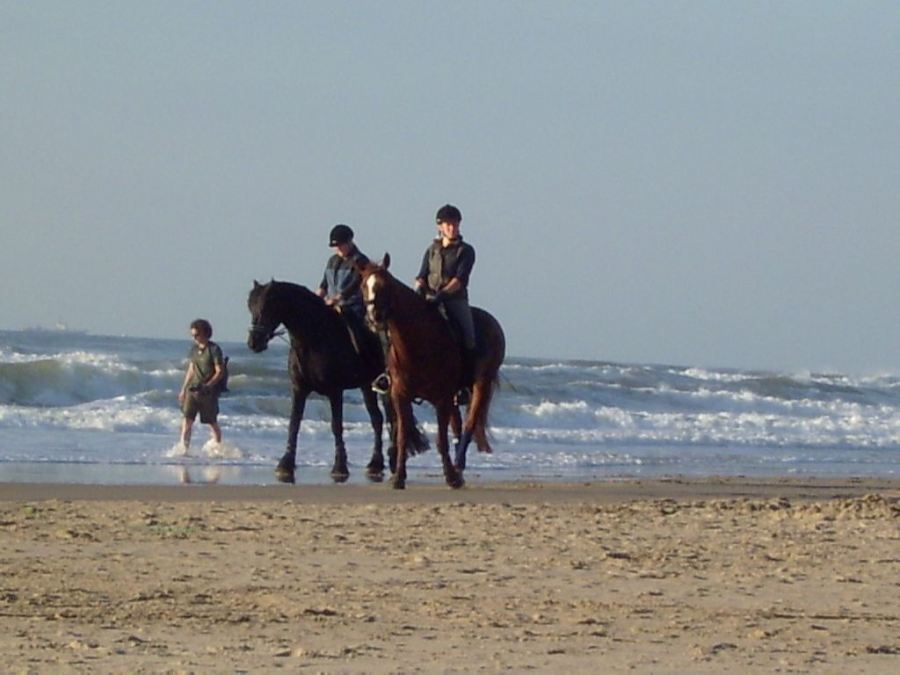 Strand
