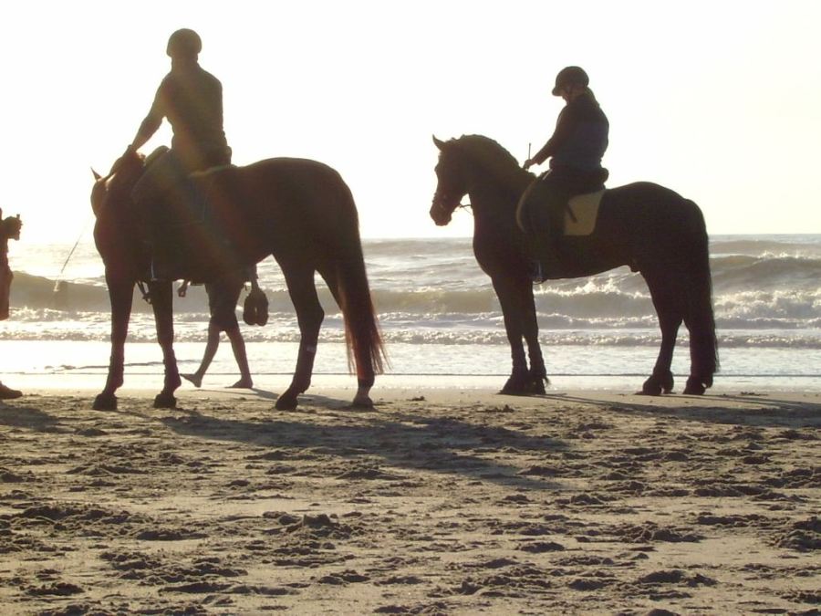 Strand