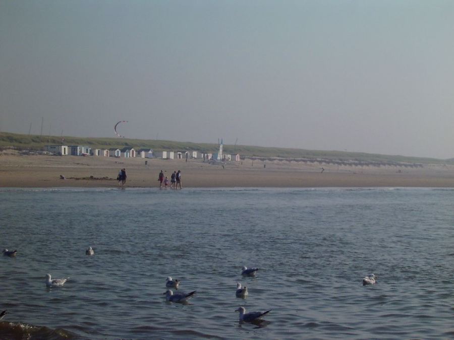 Strand