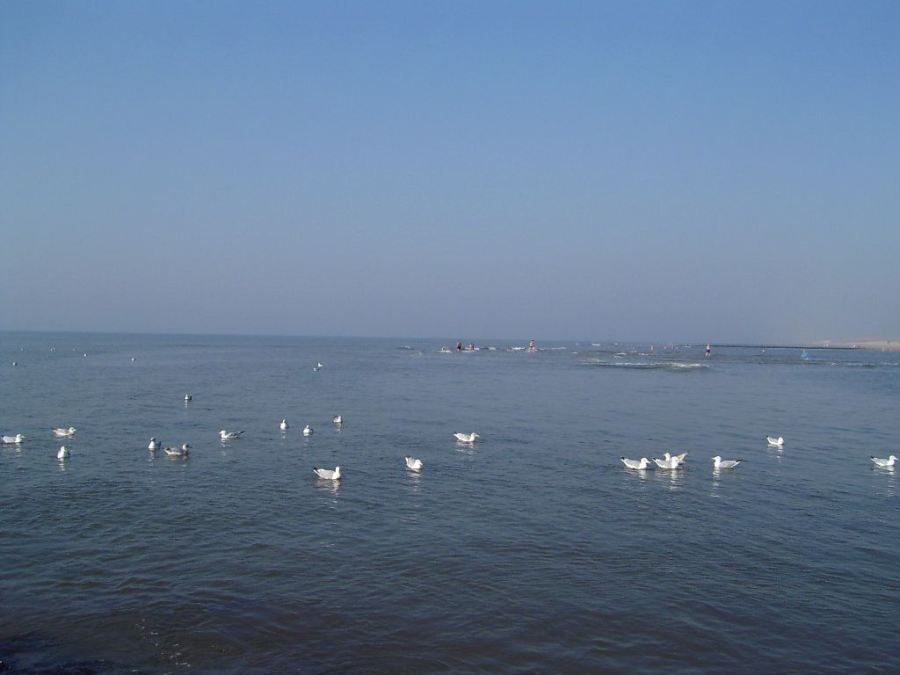 Meer / Nordsee