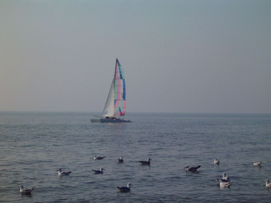 Meer / Nordsee