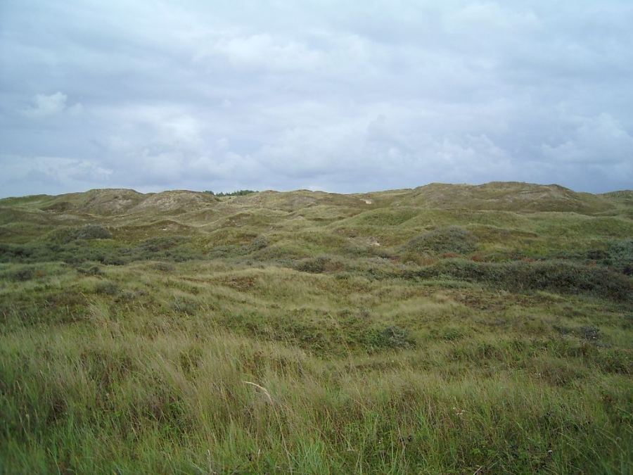 D�nen