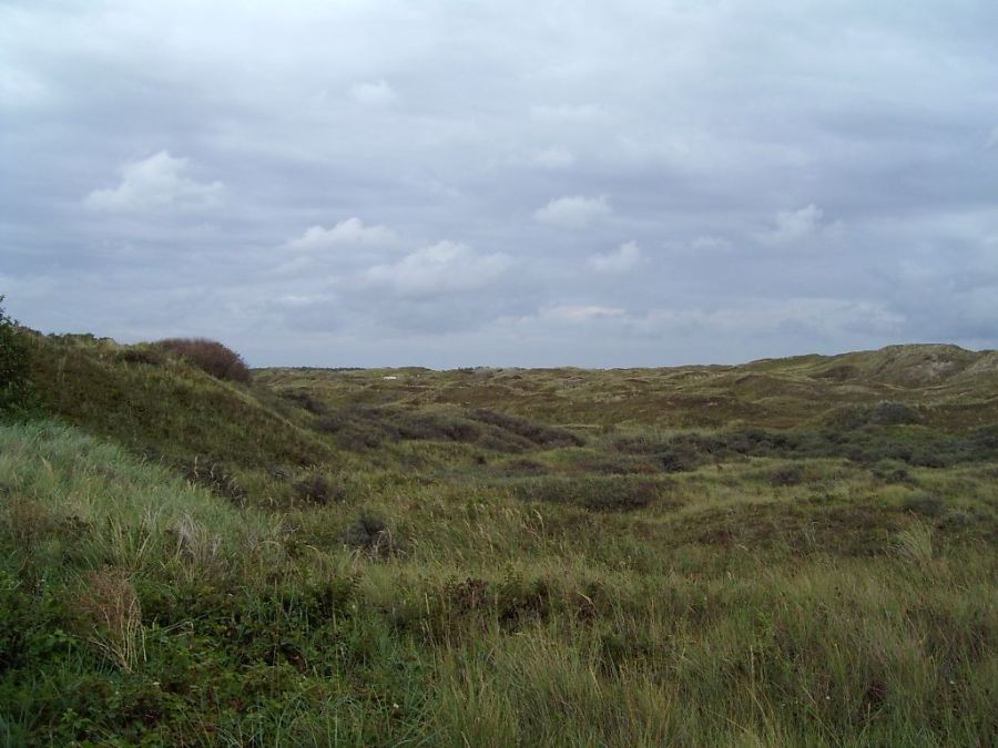 D�nen