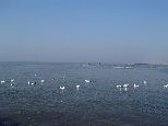 Meer / Nordsee