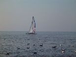 Meer / Nordsee