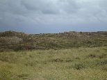D�nen