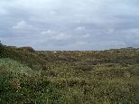 D�nen