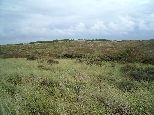 D�nen